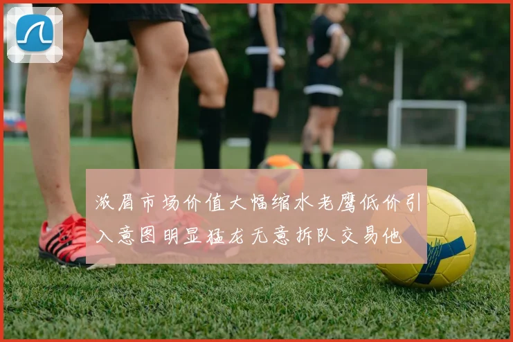 浓眉市场价值大幅缩水老鹰低价引入意图明显猛龙无意拆队交易他